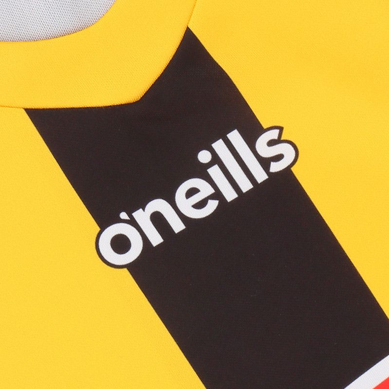 Kilkenny GAA 2 Stripe Home Men's Jersey 2022